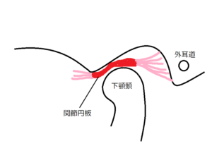 渋谷　あけぼの歯科医院　